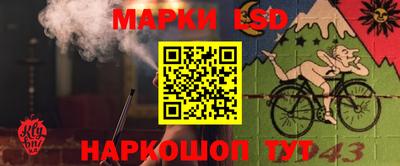наркотики Пугачёв