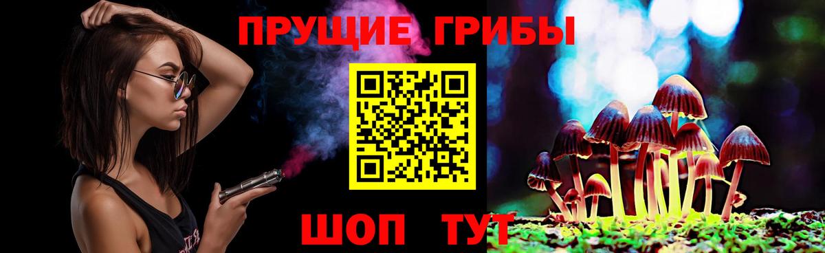 где купить наркоту  Вход с VPN  Альметьевск  Псилоцибиновые грибы прущие грибы 